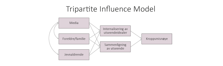 Figur 12.5 Tripartite Influence Model, TIM