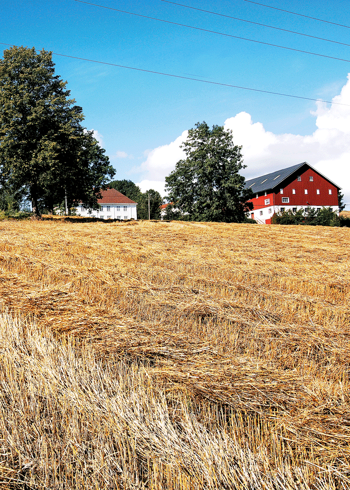 Figur 8.1 Lier prestegård