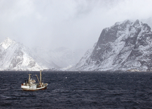 Figur 3.14 Lofoten