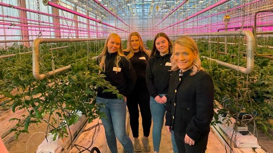 Landbruks- og matminister Sandra Borch i veksthuset på Mære landbruksskole med elevene Idun Borgen, Marthe Lind og Rita Kvam.