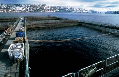 Figure 3.17 The photograph depicts a salmon farm in Jarbotnfjord in Finnmark.