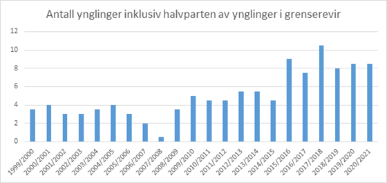 Grafikk antall ynglinger inklusiv halvparten av ynglinger i grenserevir