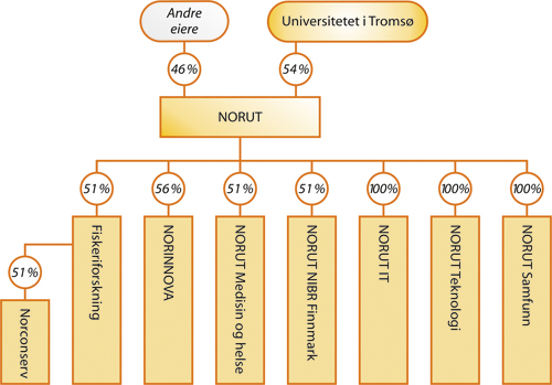 Figur 10.7 Organisasjonskart NORUT.