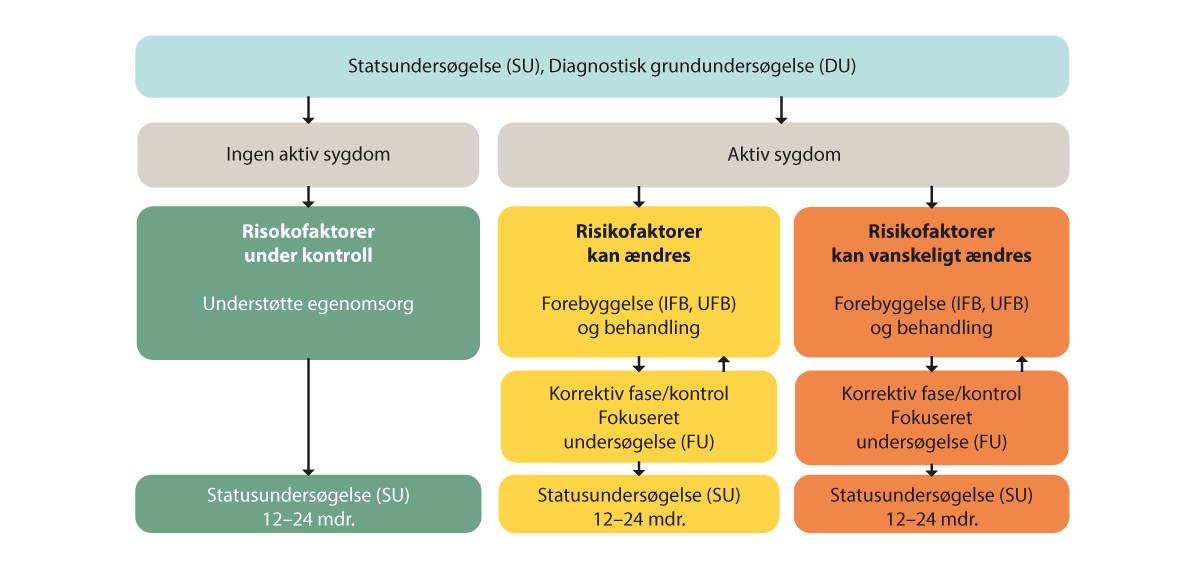 Figur 1.2 Forløpsdiagram for fastsettelse av individuelle undersøkelsesintervaller i tannhelsetjenesten