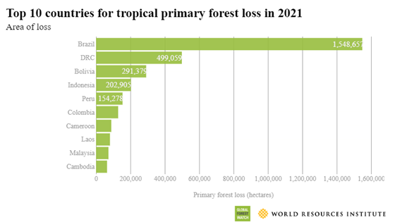 Tabellen fra Global Forest Watch viser hvilke ti land i verden som hadde størst tap av tropisk skog i fjor. 