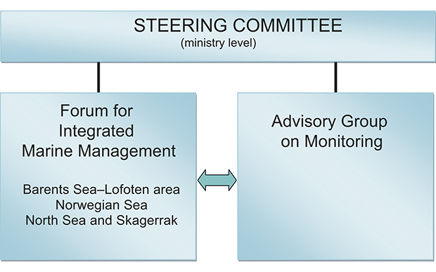 Figure 9.1 Organisation of the management plan work – new system