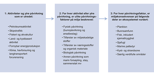 Figur 7.1 Oversikt over trinn i utredningsarbeidet. For alle aktiviteter, samt for klimaendring, havforsuring og langtransportert forurensning, identifiseres ulike påvirkningsfaktorer som kan ha effekt på miljø. For hver påvirkningsfaktor vurderes miljøkonsekv...