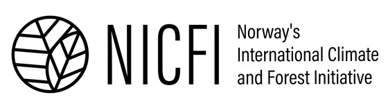 NICFI wide
