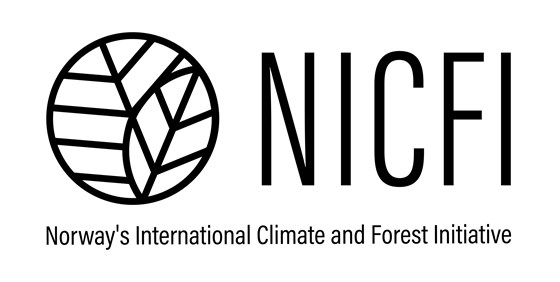 NICFI narrow