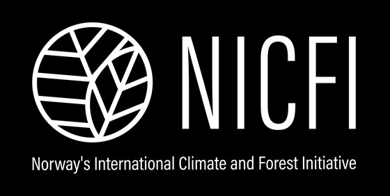 NICFI narrow negative