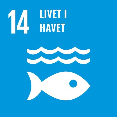 Illustrasjon for bærekraftsmål 14: Livet i havet