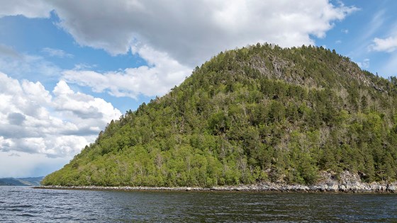 Bilde av Brøskjahagan naturreservat i Surnadal kommune.