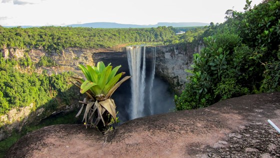 Guyana