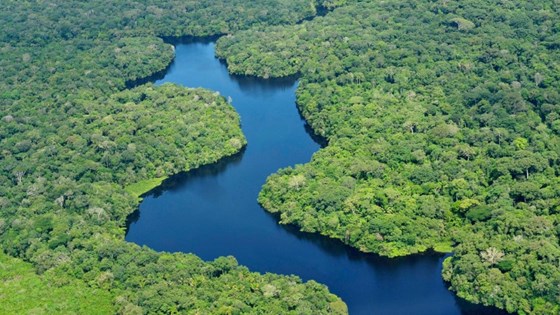 Amazonas