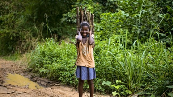 The Congo Basin includes six countries in Central Africa. About 120 million people live in the region and about half are partially dependent on the forests for livelihoods, food, medicines and materials.