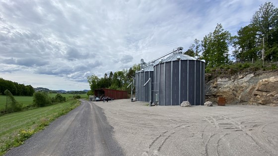 Korntørke lagt på sprengt fjell.