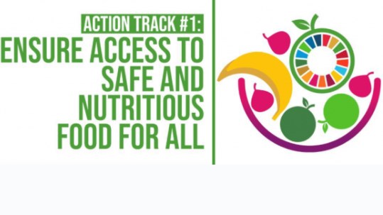 Seed Security logo