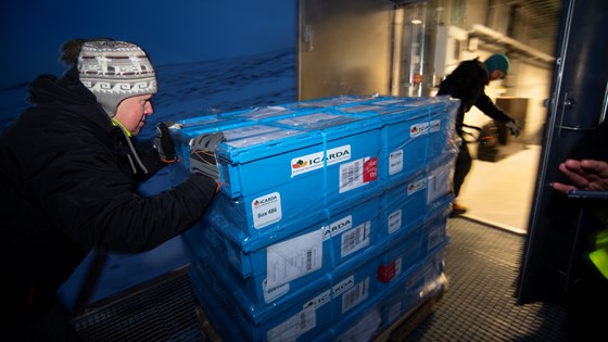 Ny forsendelse med frø føres inn i frøhvelvet for langvarig bevaring.