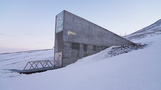 Svalbard Globale frøhvelv