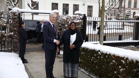 Støre tar president Samia Silihu i hånden rett på innsiden av porten i statsministerboligen. I bakgrunnen står bilen presidenten kom med og sikkerhetsvakter i en snødekt Oslogate.