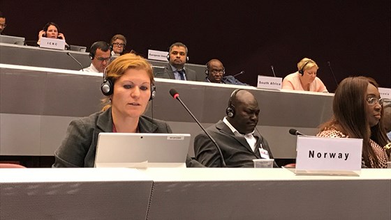 Director Silja Skjelnes gives the Norwegian statement. 