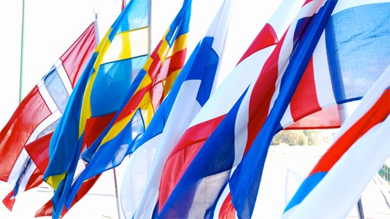 Det er nordisk flaggheising i anledning dagens nordiske jubileum. Foto: Søren Sigfusson