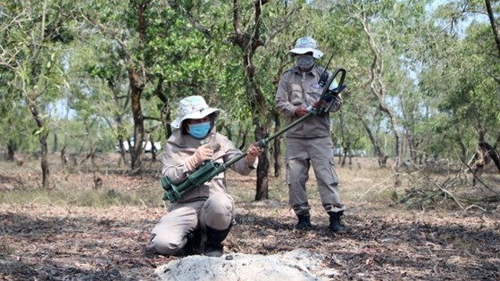 I en åpen debatt om innsatsen mot miner hørte Sikkerhetsrådet fra bl.a. Nguyen Thi Dieu Lin, en regional programleder for Norsk Folkehjelp i Vietnam. Hun delte erfaringer fra mineryddingsinnsatsen i Quang Tri-provinsen. Foto: Project Renew.