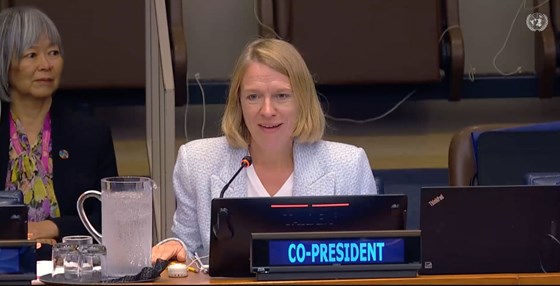 Bilde av utenriksminister Huitfeldt sittende som med-president under møtet om å forby atomprøvespregninger