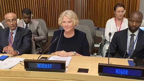 Bilde av Tvinnereim sittende i møte ved siden av representanten fra Niger