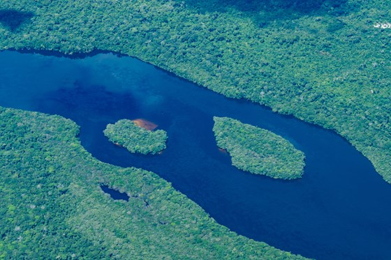  Amazonas regnskog fra lufta