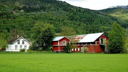 Gårdsbruk
