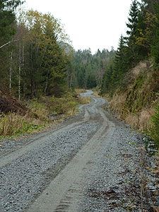 Skogsbilveg