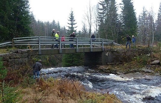 Tidligere bru med tredekke ombygd til betongbru, Fritzøe Skoger.