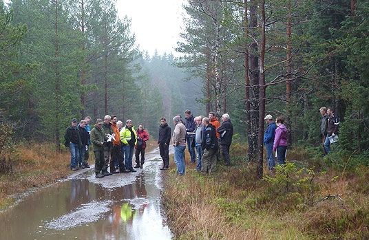 Skogsbilvei Skisjøveien, Siljan, bygd på kavler, diskusjon om ombyggingstiltak.