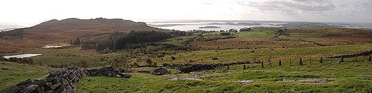 Hodne