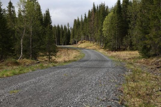 Skogsbilveg, Vefsn