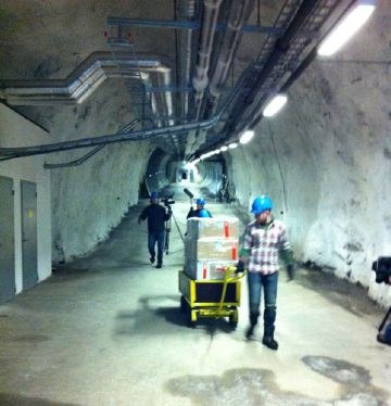 Filming av frøene på vei inn i frøhvelvet.