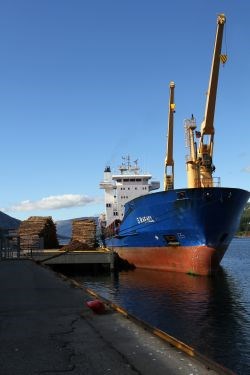 Lasting av tømmer fra kai i Nordland