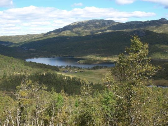 Landbrukseiendommen Kråkeroe sameige i Seljord