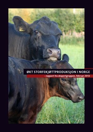 Forside: Økt sorfekjøttproduksjon i Norge - rapport fra ekspertgruppen, februar 2013