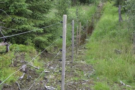 Rovviltavvisende elektrisk gjerde