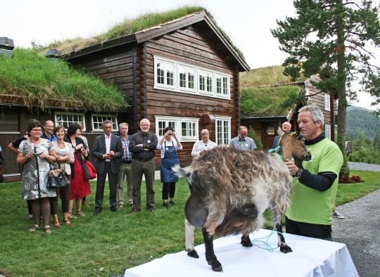 Geitedåp