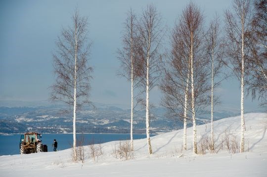 Støre Gård i Levanger kommune i Nord-Trøndelag