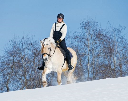 Som utdannet ridefysioterapeut er Hanne opptatt av alle de gode helsemessige gevinstene som ligger i riding. Noen av de viktigste effektene av terapiridingen er bedre balanse, styrke og koordinasjon.