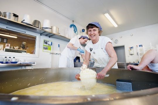 Mor til Kristin, Solvor Waagen, er ystesjef i Tingvollost og sørgjer for at ostemassen kjem i former. I bakgrunnen, sambuaren til Kristin, Egil Smith-Meyer, som er meierisjef i Tingvollost.