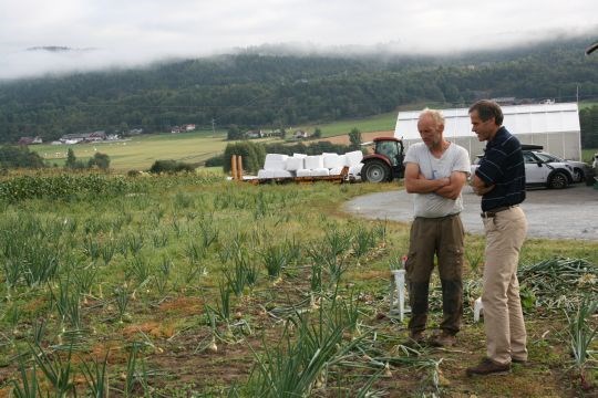 Oppfølging av løkproduksjonen.