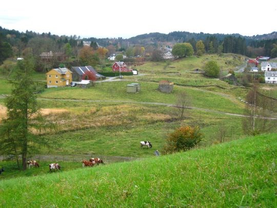 Beite laga av tilførte massar i framgrunnen. Bak kyrne var tidlegare ein dal, som no er fylt opp med om lag 80.000 kubikkmeter og er under oppdyrking. 