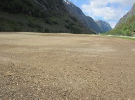 Fornying av eng - Våtedalen 4. juni 