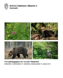 Forvaltningsplan for rovvilt i Hedmark