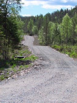 Nybygd skogsbilvei. Veungenveien, Flåbygd.